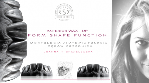 Anterior wax-up Shape -Form- Function