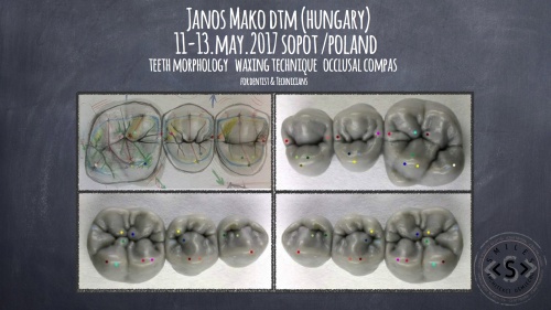 Janos Mako Posterior Morphology, ocllusal compas